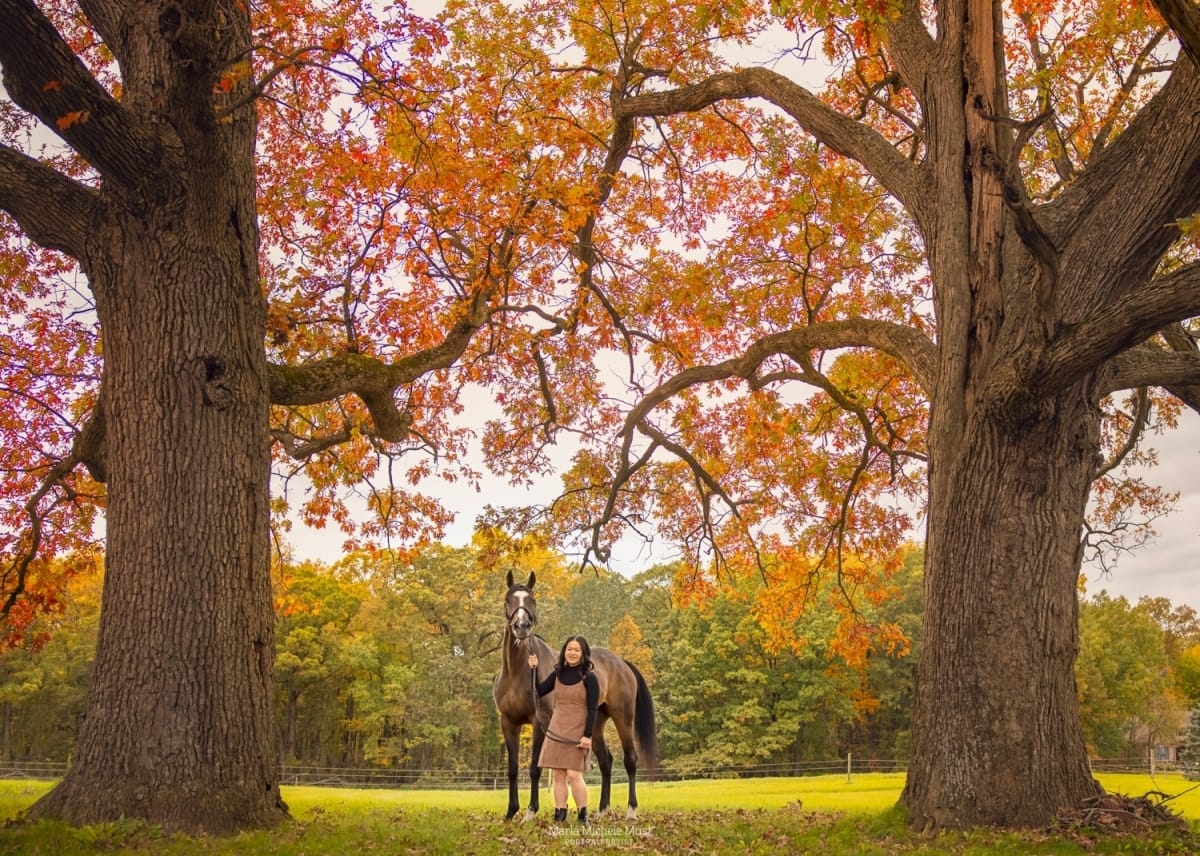 Serene autumn moment captured by a Detroit equine photographer, showcasing the bond between a horse and its owner amidst lush foliage.