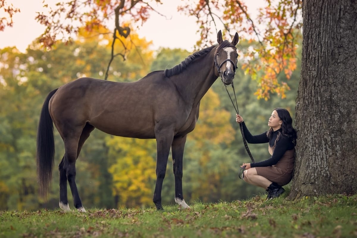 A touching image captured by a Detroit equine photographer, portraying the special connection between a horse and its owner holding the reins
