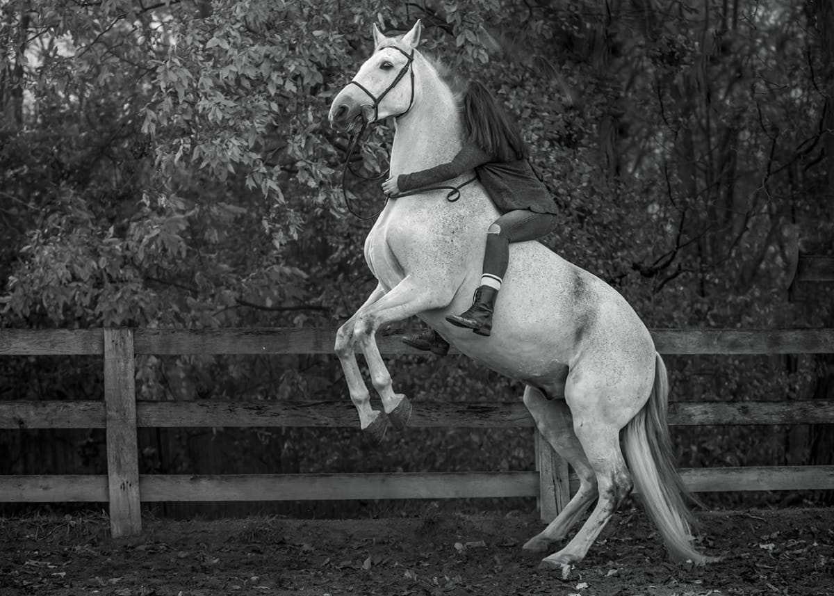 Inseparable duo: Black and white photo of owner holding onto her rearing horse, photographed by a Detroit equine photographer