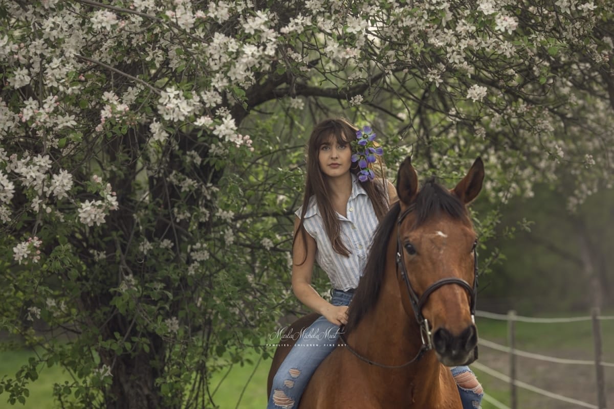 An ethereal horse and rider portrait captured by a Detroit equine photographer, a young woman relaxes while riding her horse through a brush of flowers.
