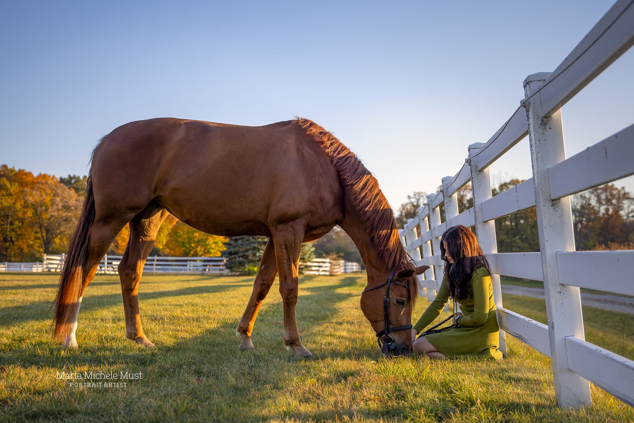 Bright and sunny moment between horse and rider captured by a Detroit horse photographer, highlighting the bond between a horse and its owner against the backdrop of a trail and fence.