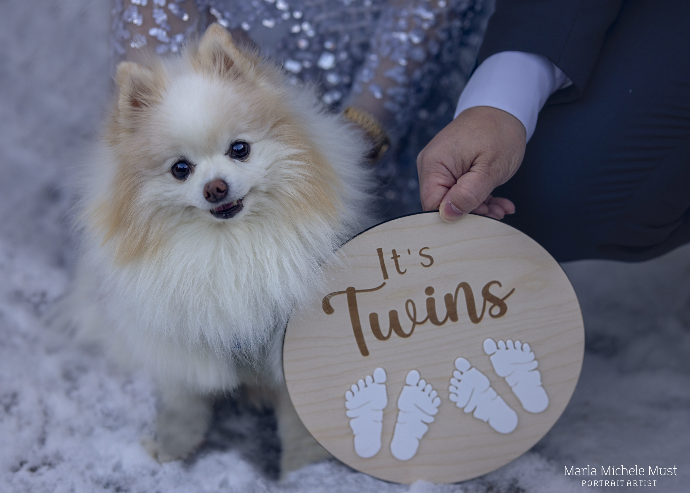 A small fluffy dog looks at the camera as a male hand holding a small, round, wooden sign displaying the words "It's Twins!" with two pairs baby footprints imprinted is held within the shot; a moment captured by a Detroit maternity photographer.
