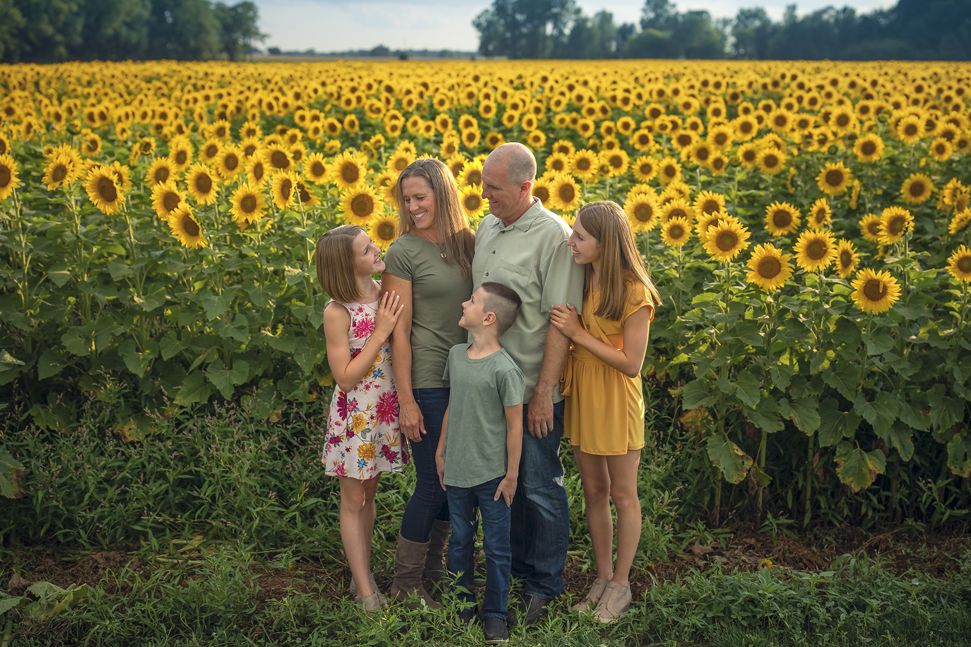 A golden yellow family photo of a standing close to each other in a sunflower field near Detroit, Michigan.