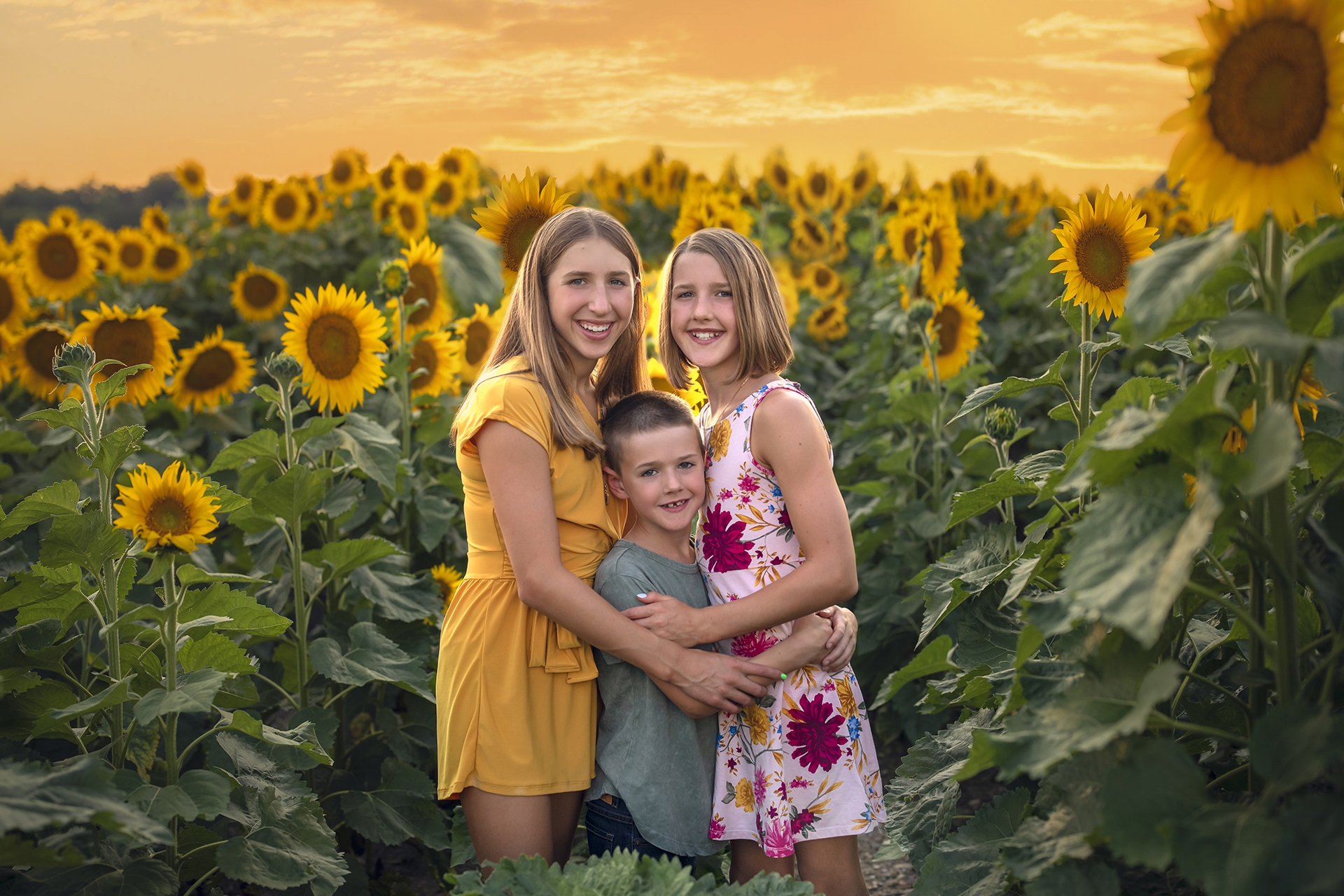 A golden yellow family photo of a three children hugging each other close in a sunflower field near Detroit, Michigan.