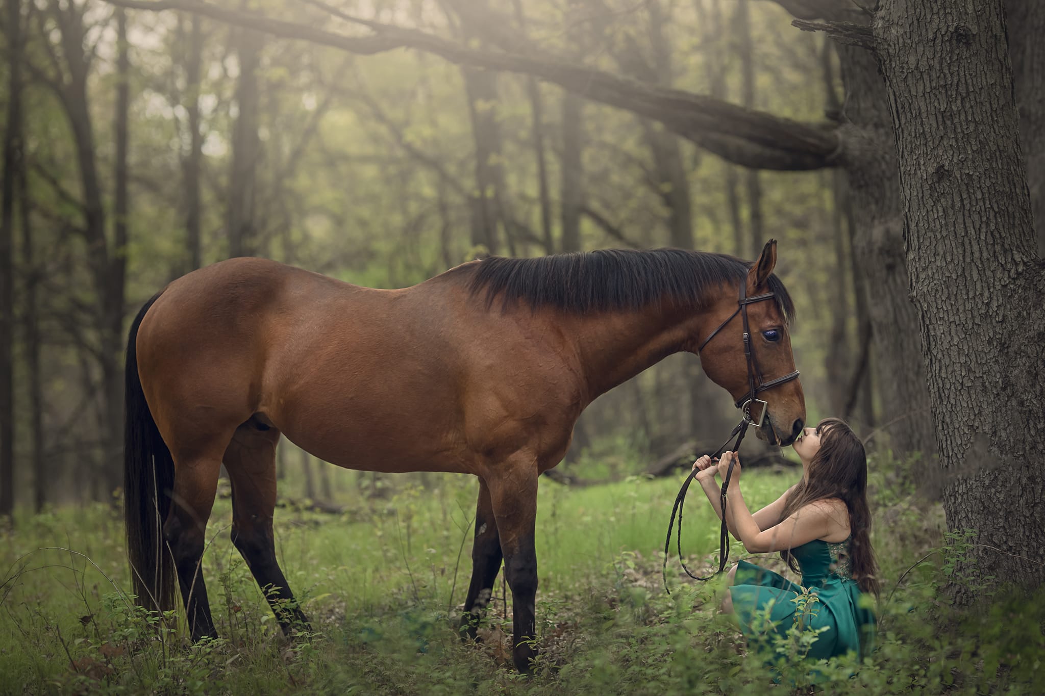 Michigan photographer's depiction of horse and rider in forest near Detroit